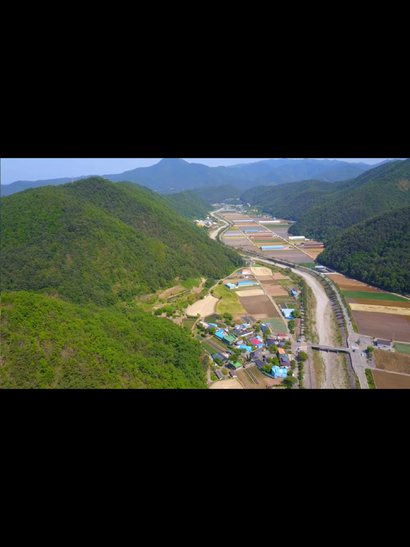 @유튜브 "정선사람들" 안용현