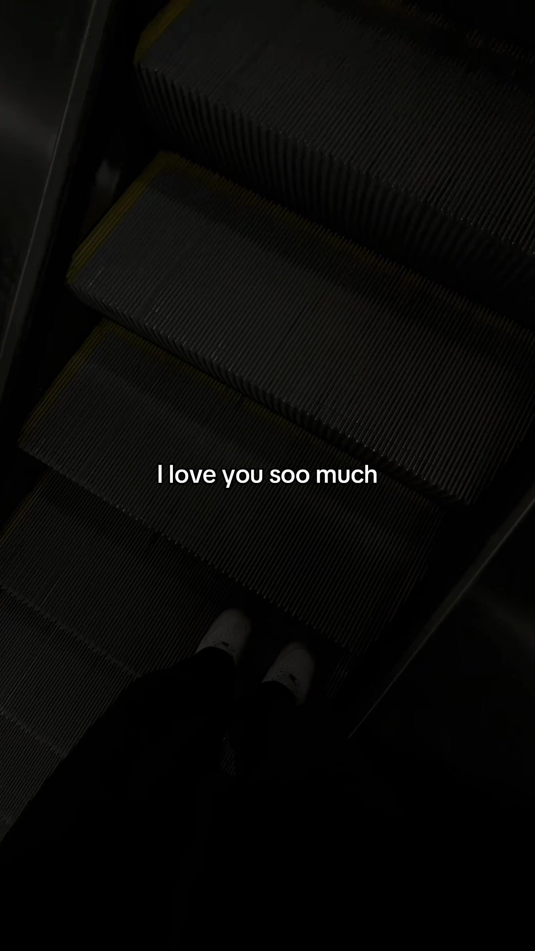 @ecyeal ☆