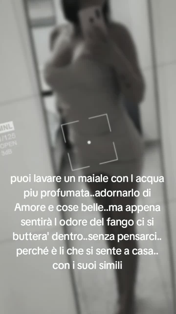 @Angel 81V