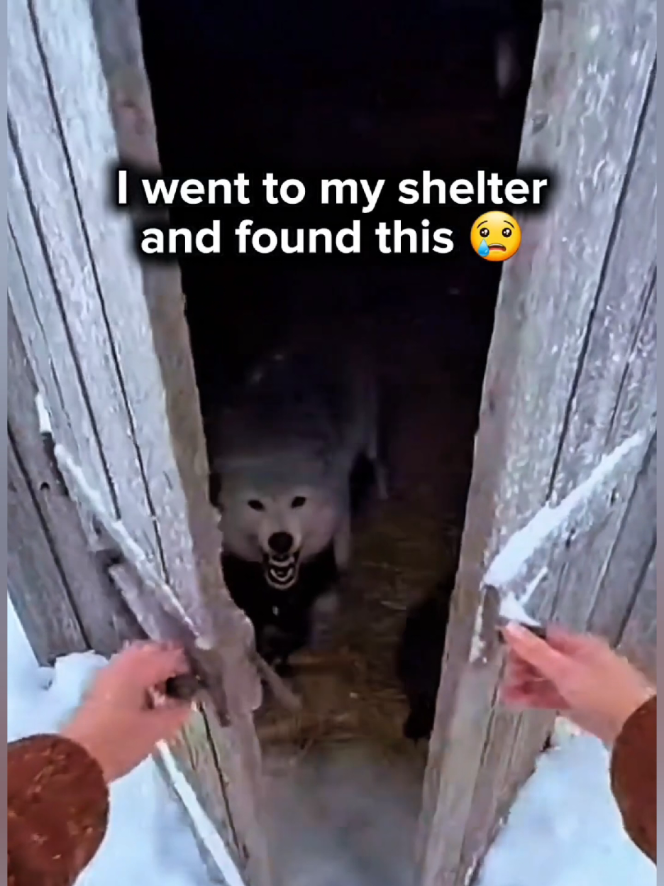@Haunted truths