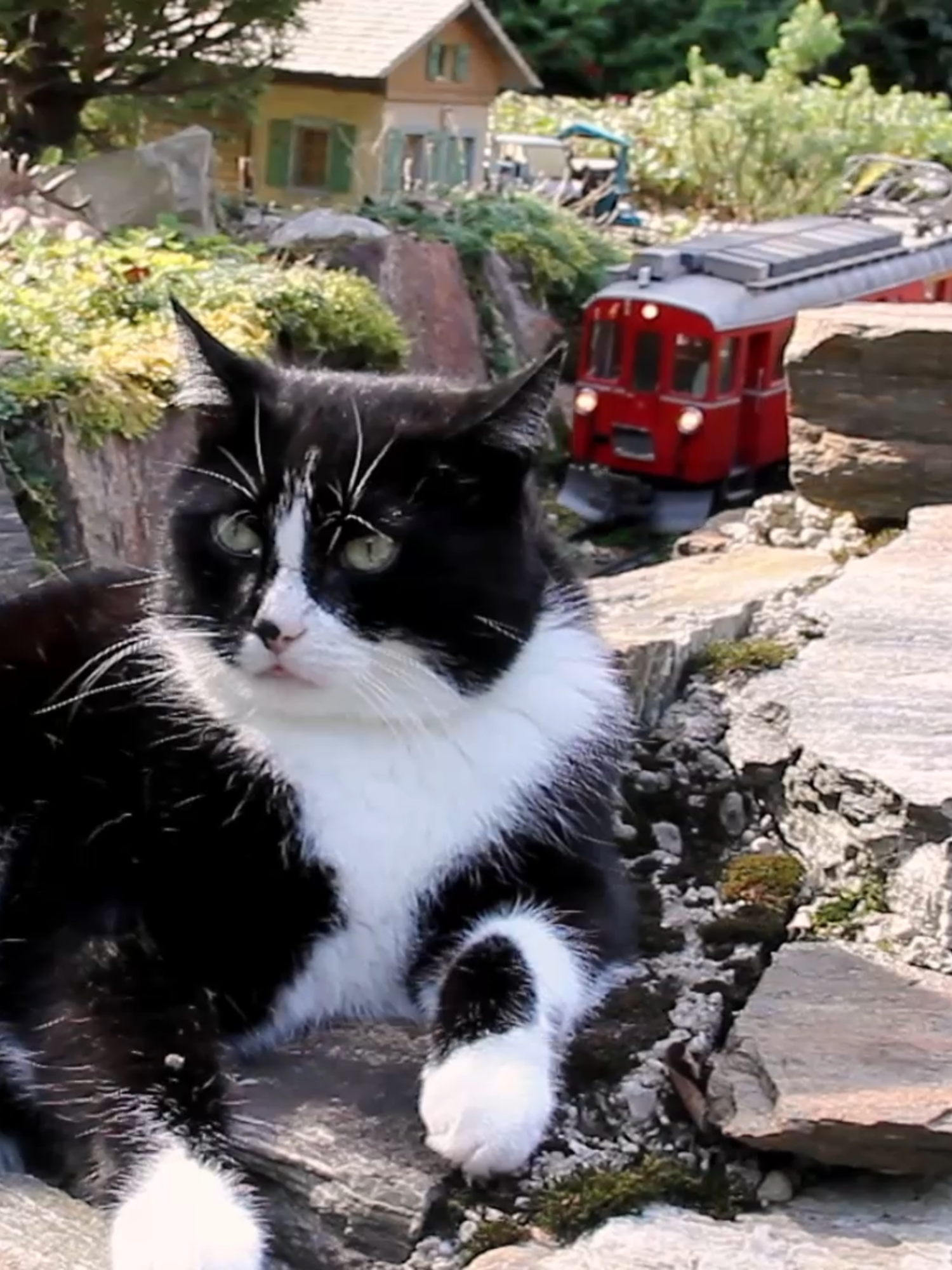 @Mapic2