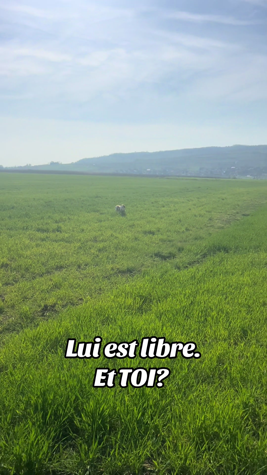 @Gaetane