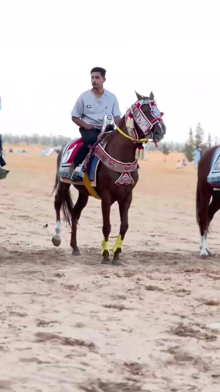 @محمد نافع❤️🔥🐴
