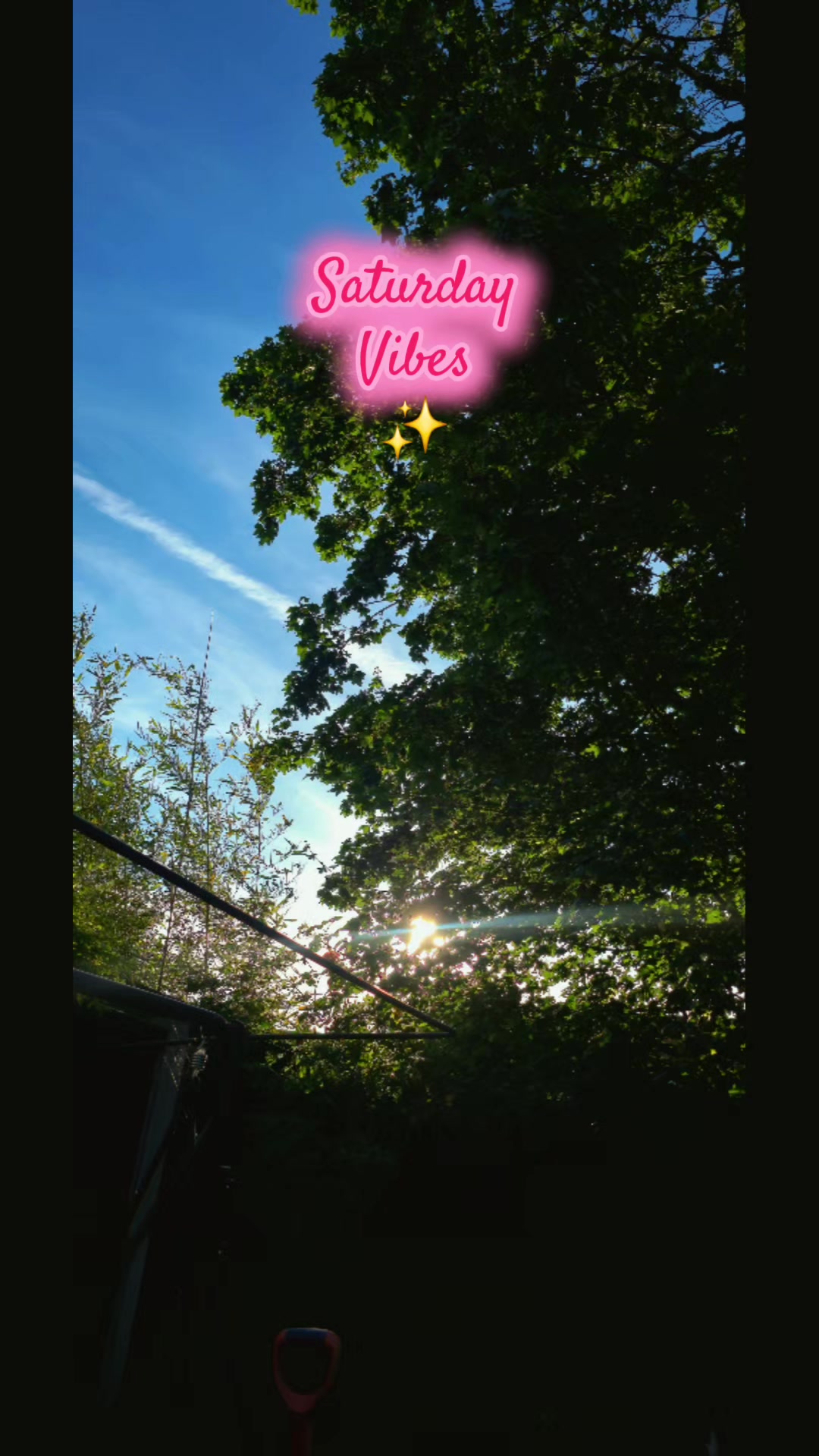 @SuzisUniverse