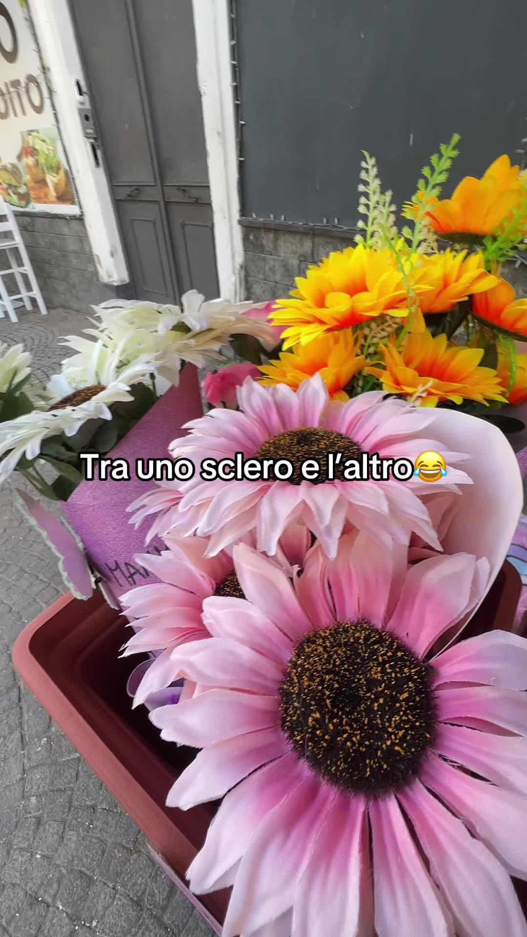 @𝓐𝓾𝓻𝓸𝓻𝓪𝓢𝓱𝓸𝓹 🎀