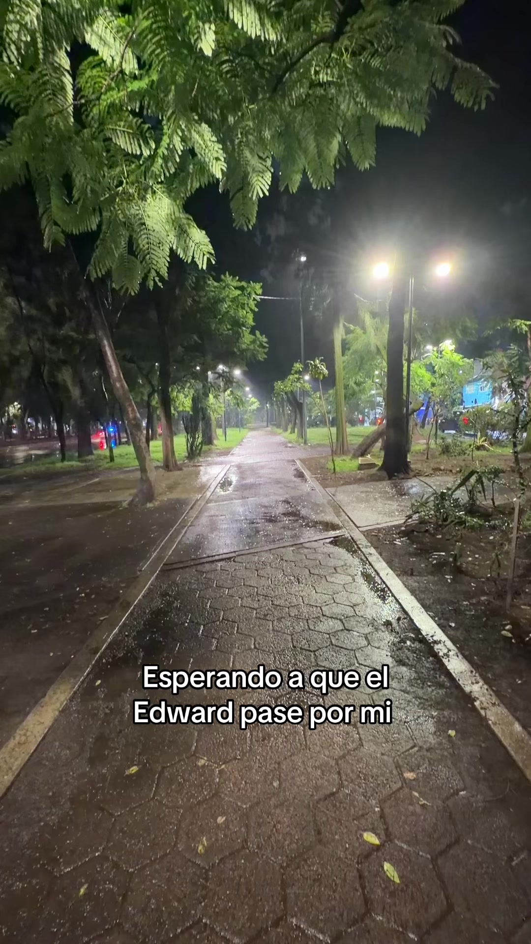 @Diana Rizzo