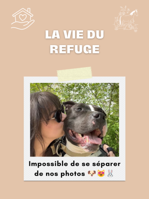@spa_strasbourg