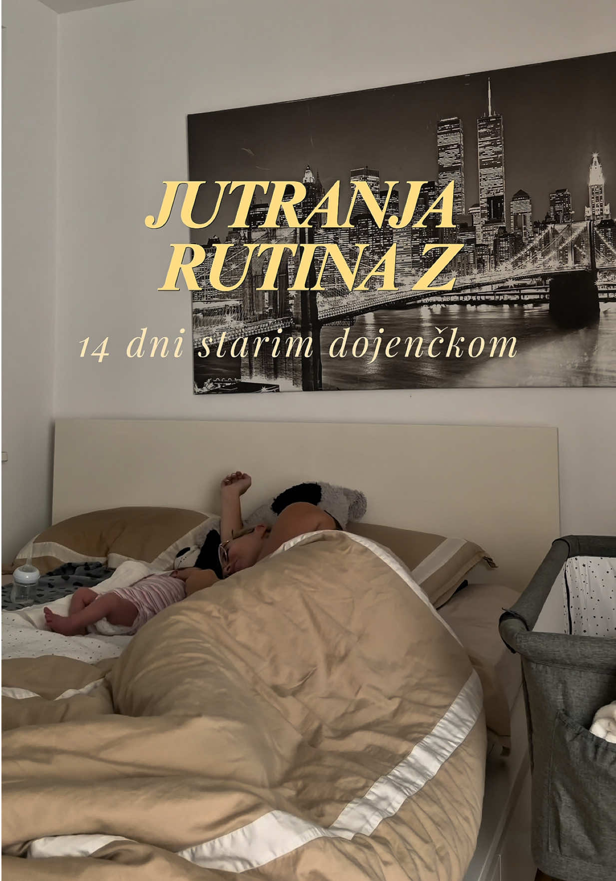 @Nina Ninči Karda&scaron;evič