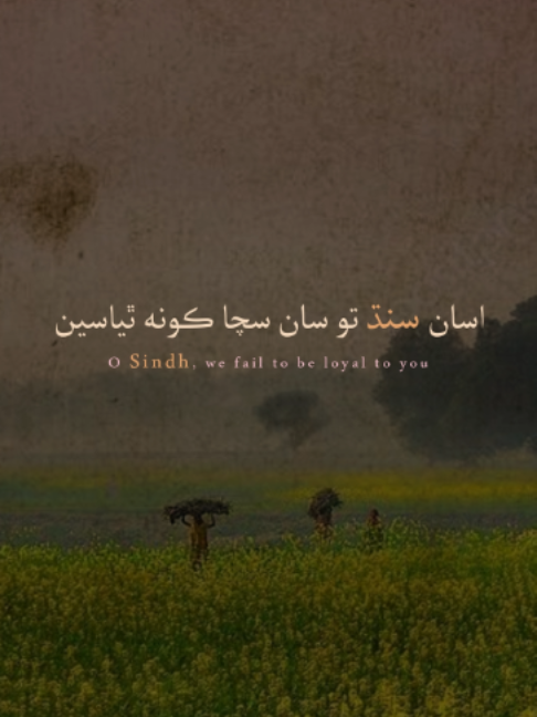 @Sarwan Laghari
