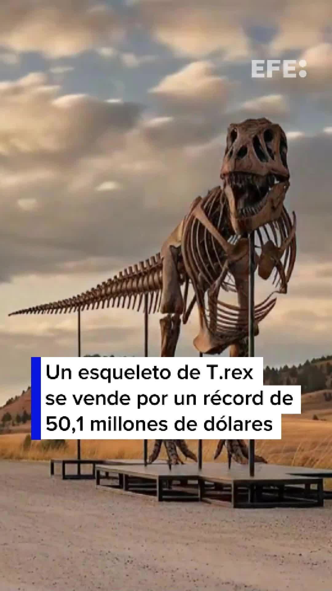 @EFE Noticias
