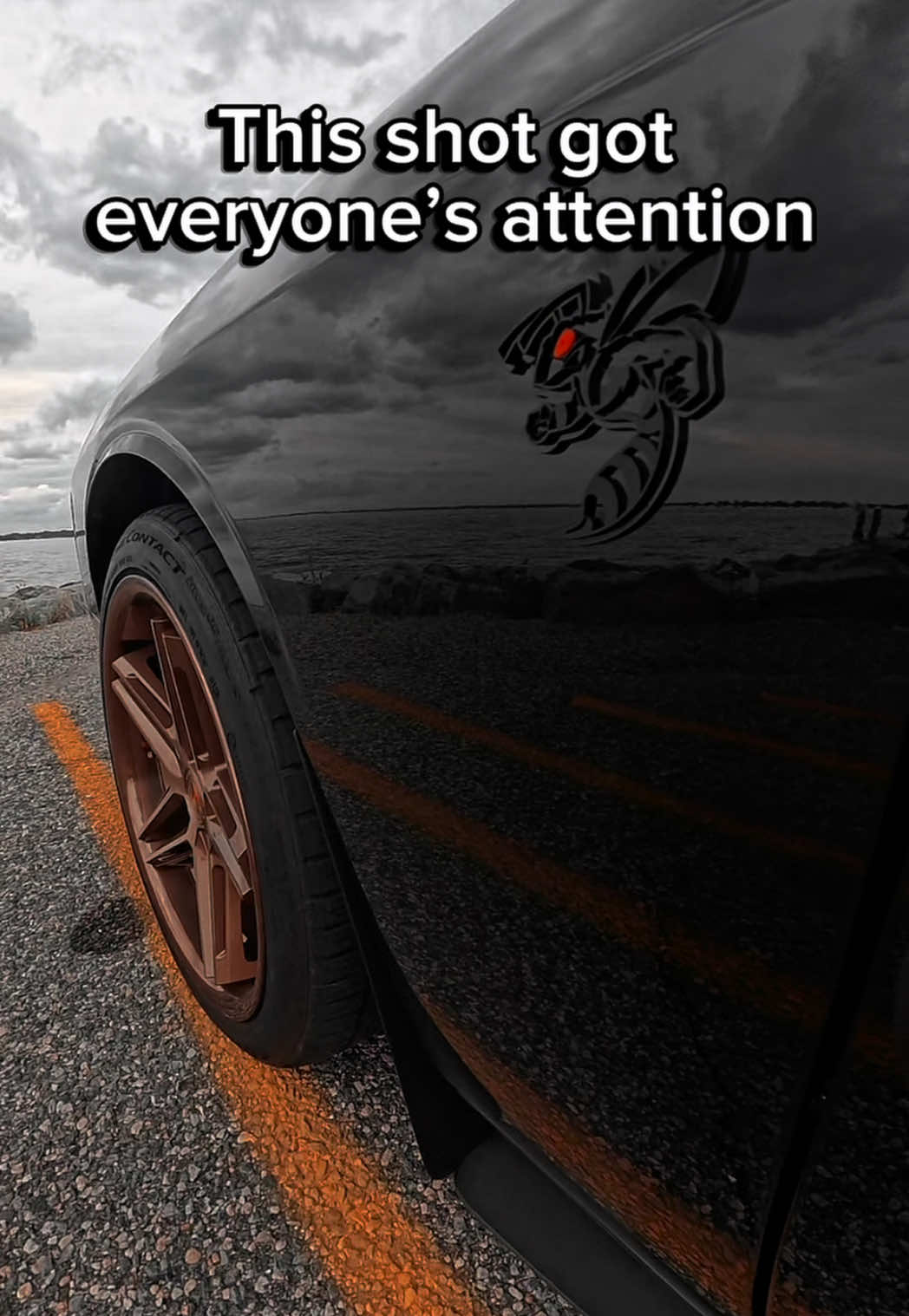 @Scatpack Bee 🐝