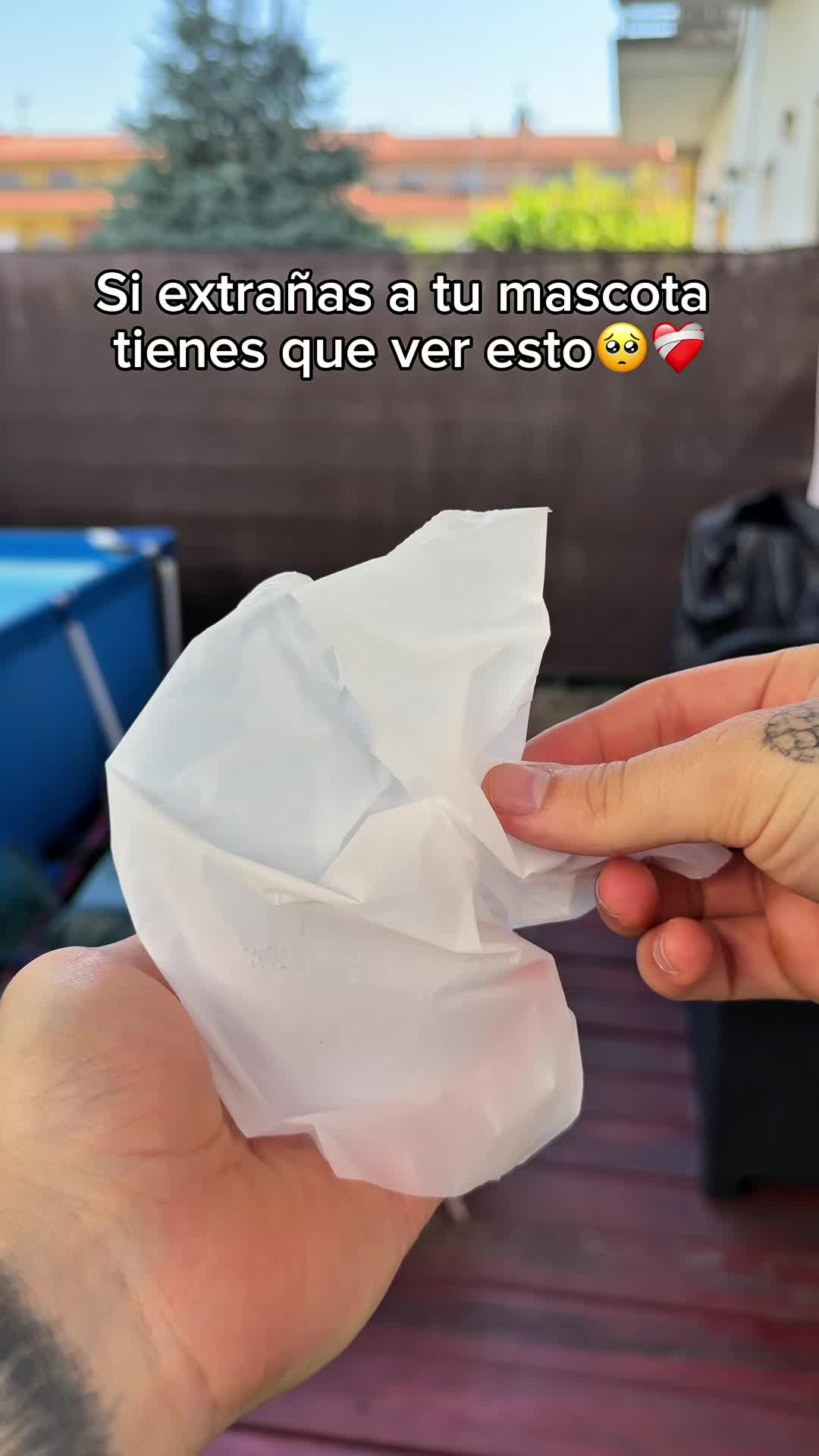 @🔮ENLACE EN LA BI0🔮