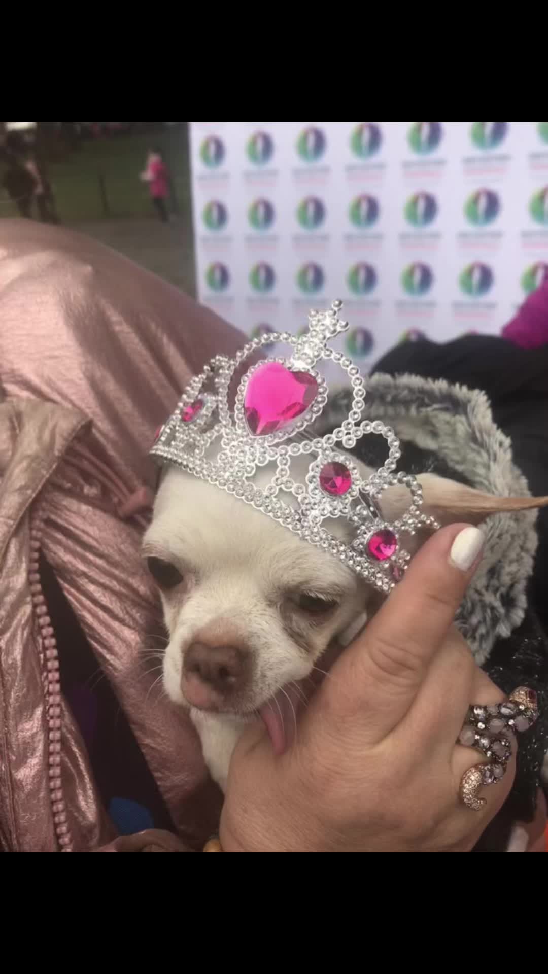 @KARINA