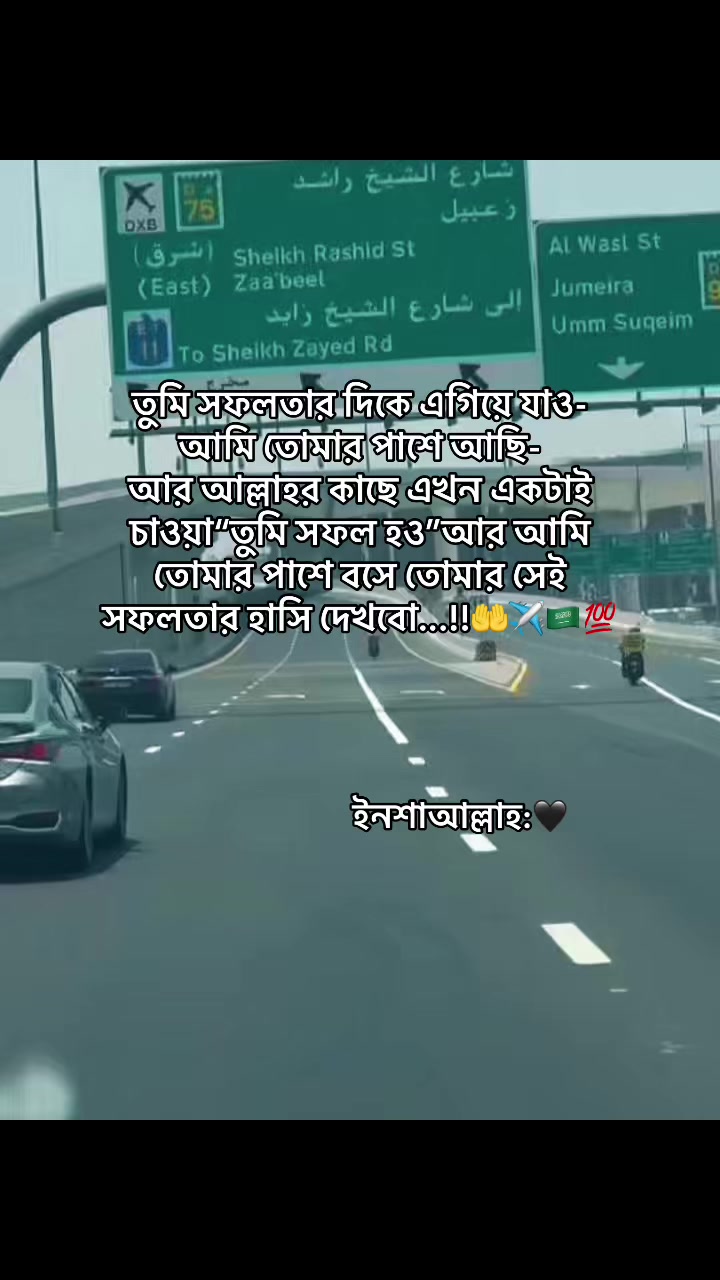 @đĻ S H I U L I đĻ