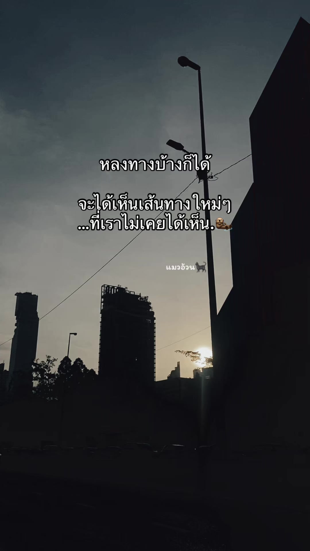 @แมวอ้วน🐈⬛