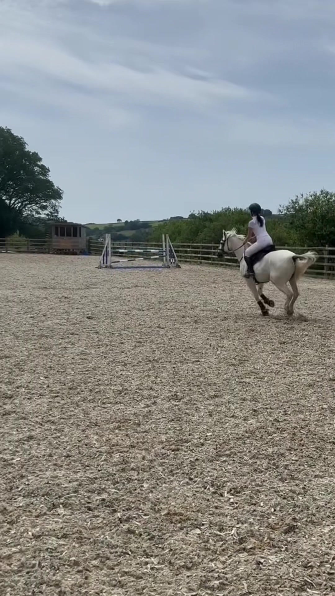 @amelia_showjumping2
