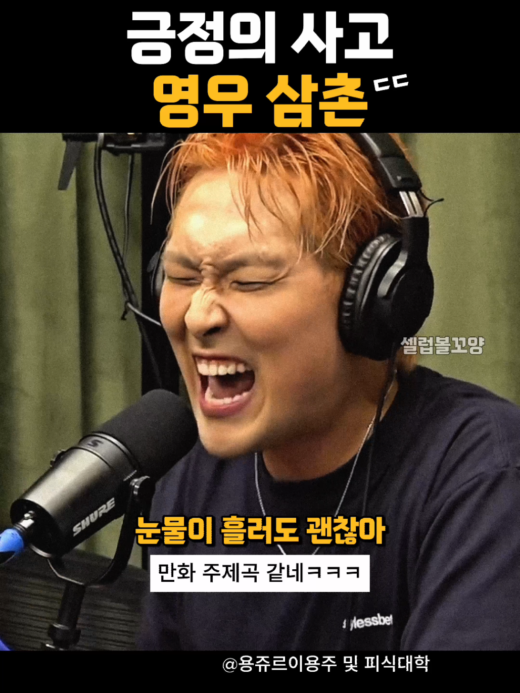 @셀럽볼꼬양