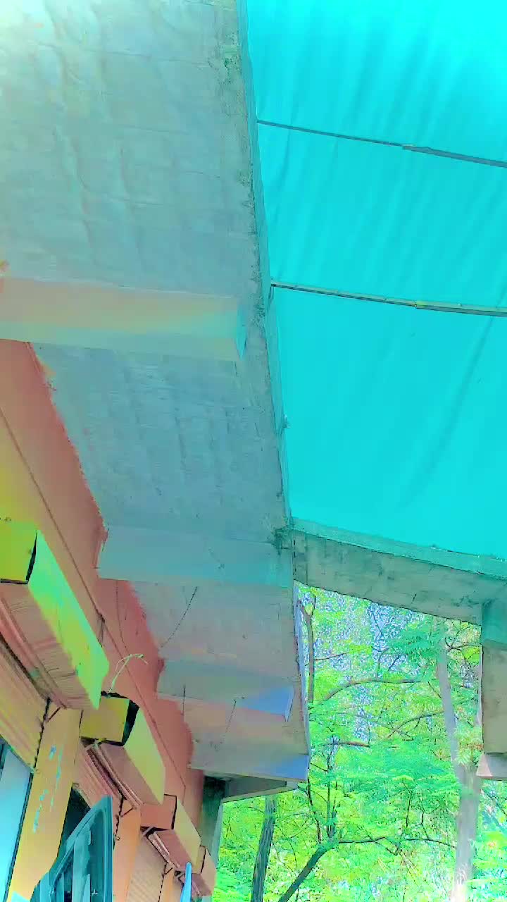 @✩彡 𝗨𝗠𝗔𝗥𝗢𝗢彡✩