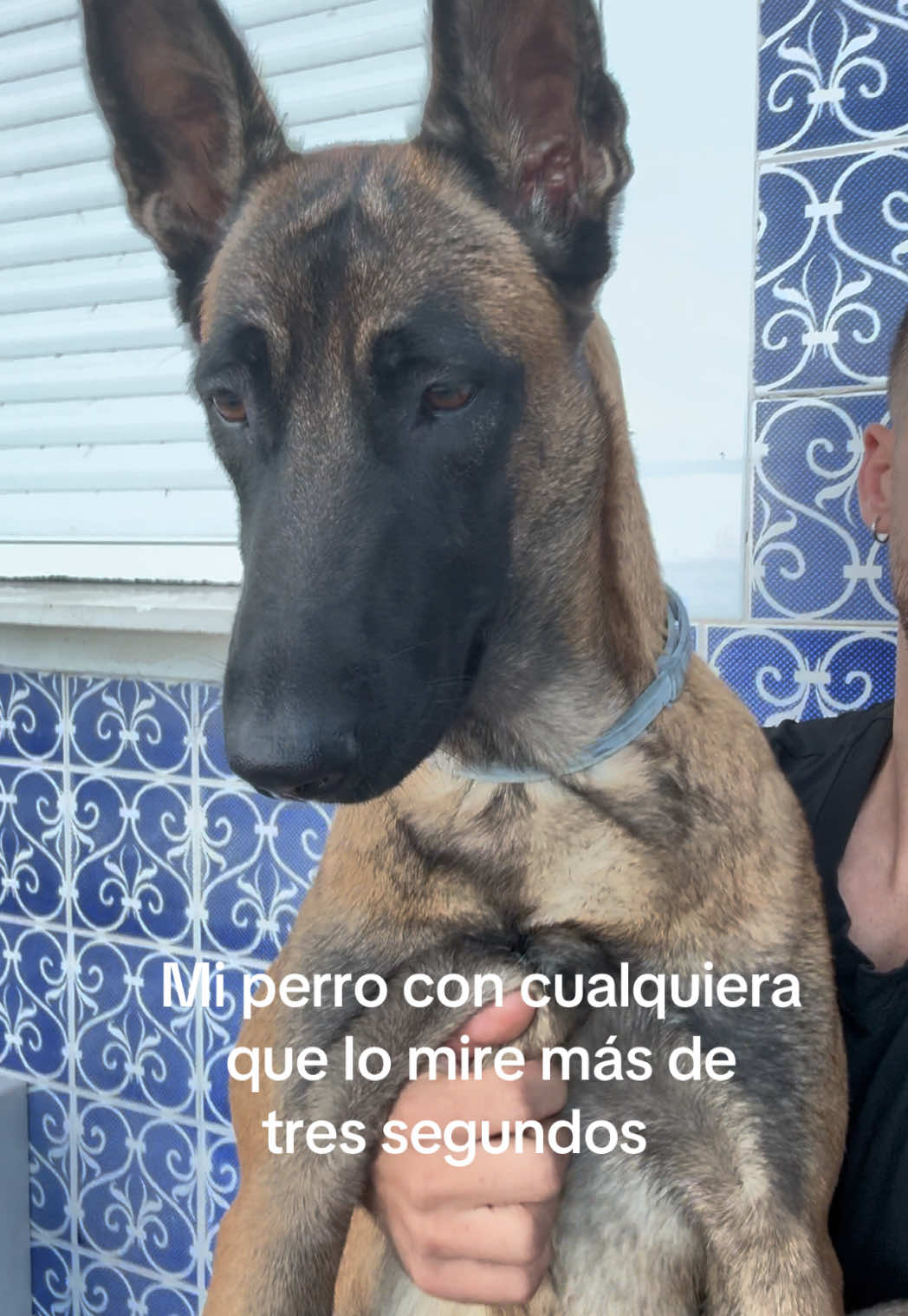 @Lobalobita