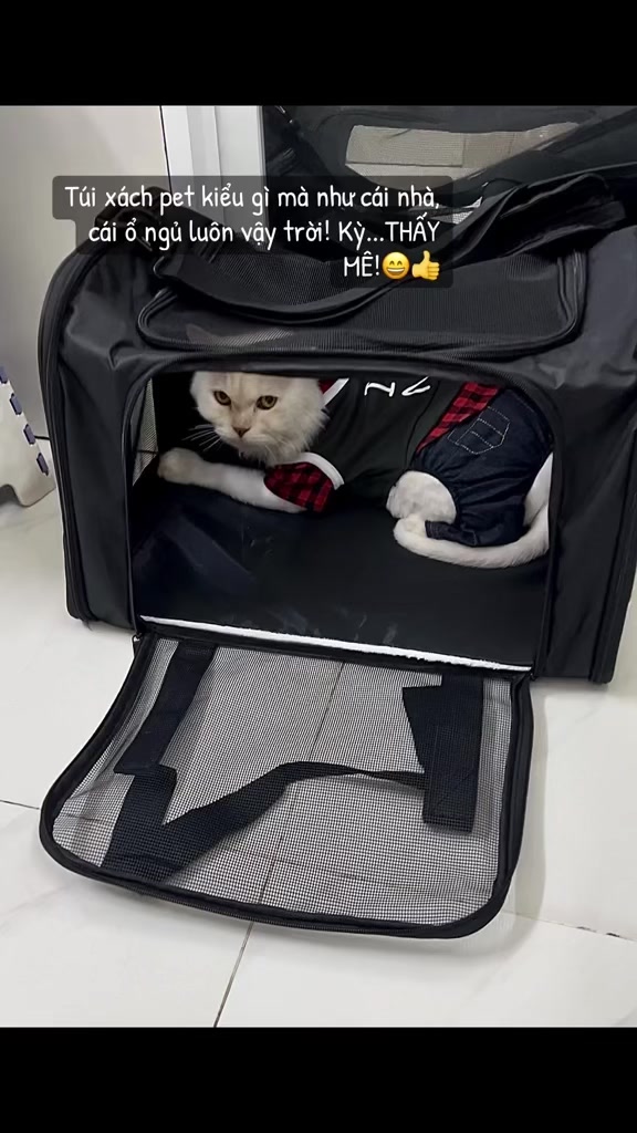 @TiTi Pet