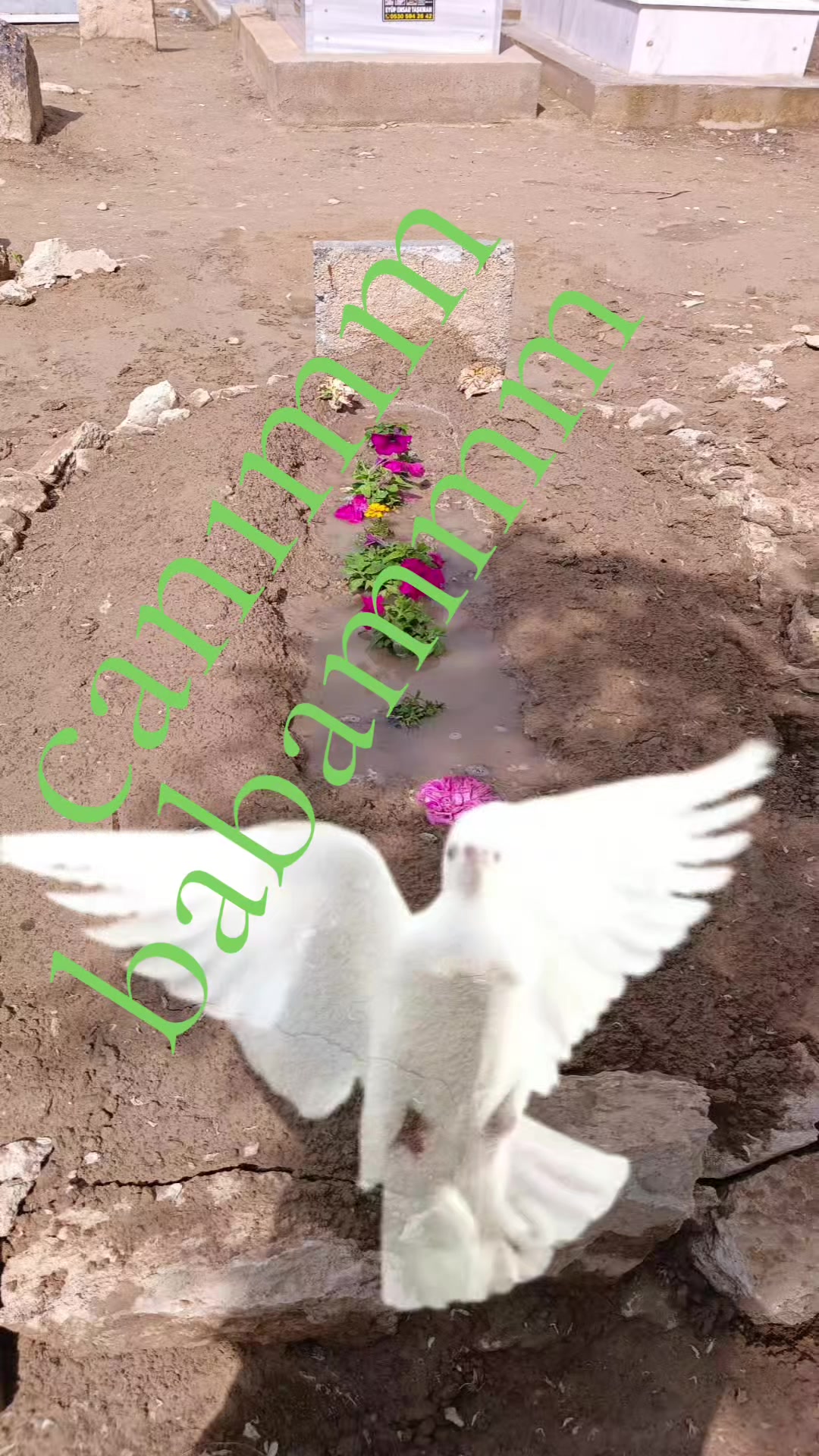 @antalyalı Tuncay