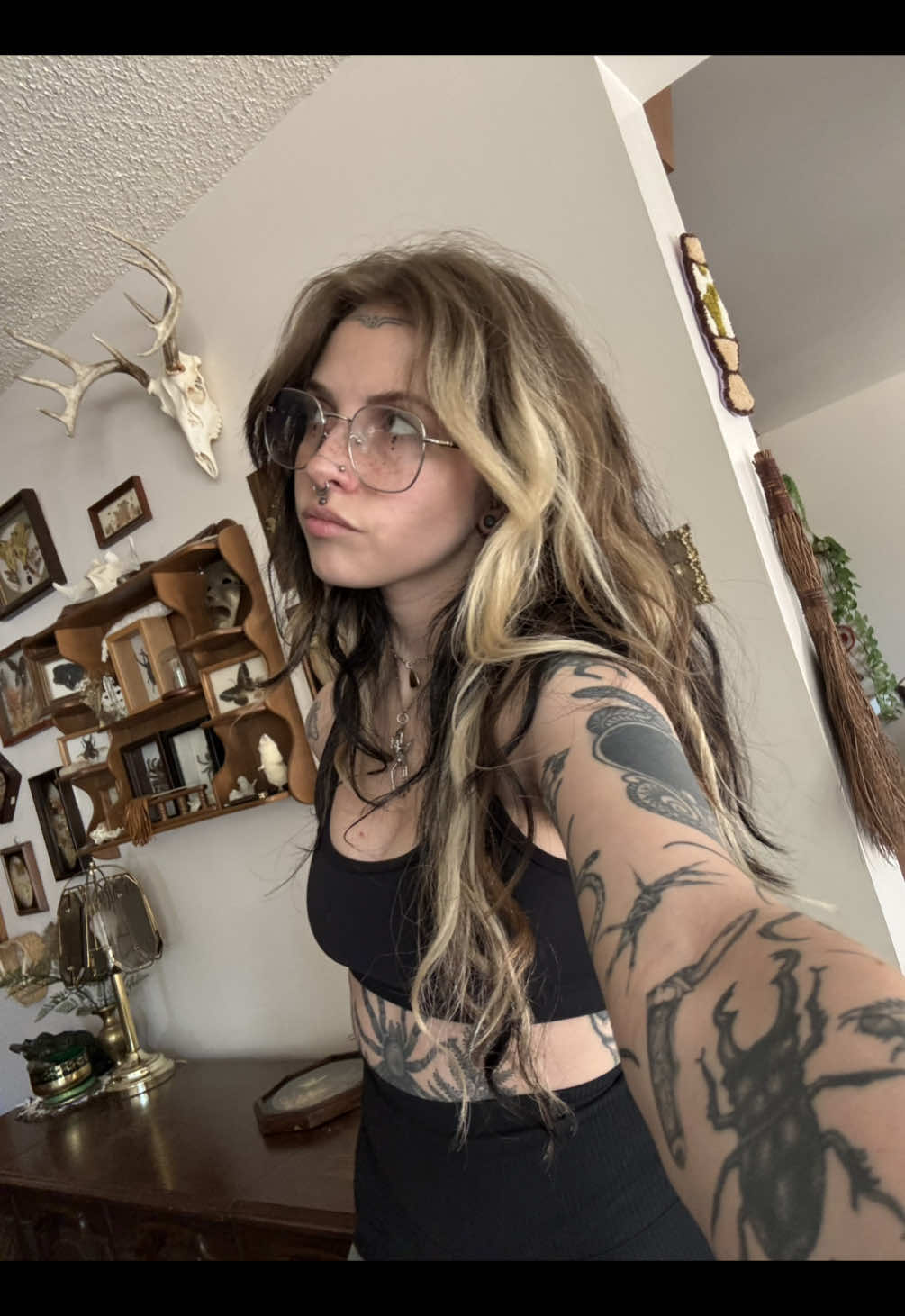 @mushbugs