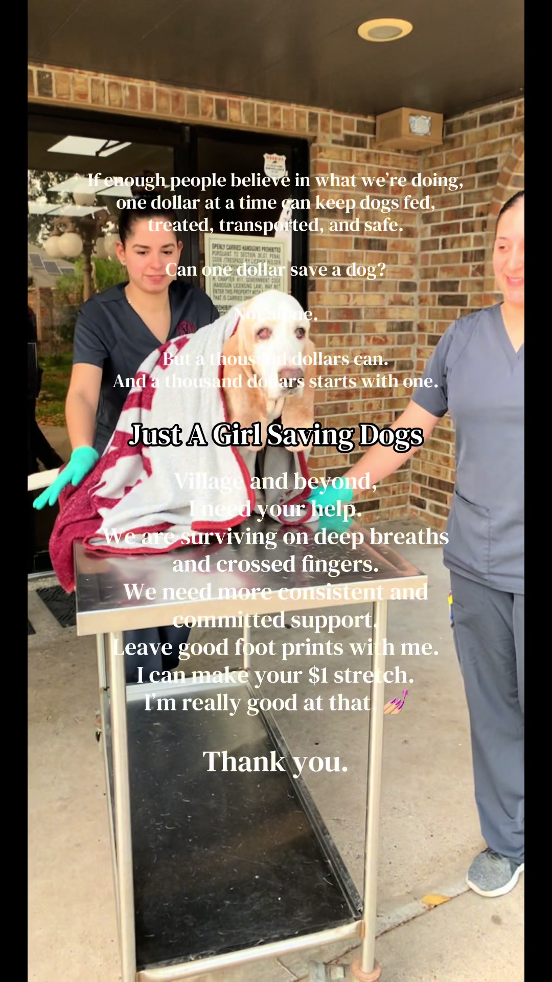 @Just A Girl Saving Dogs