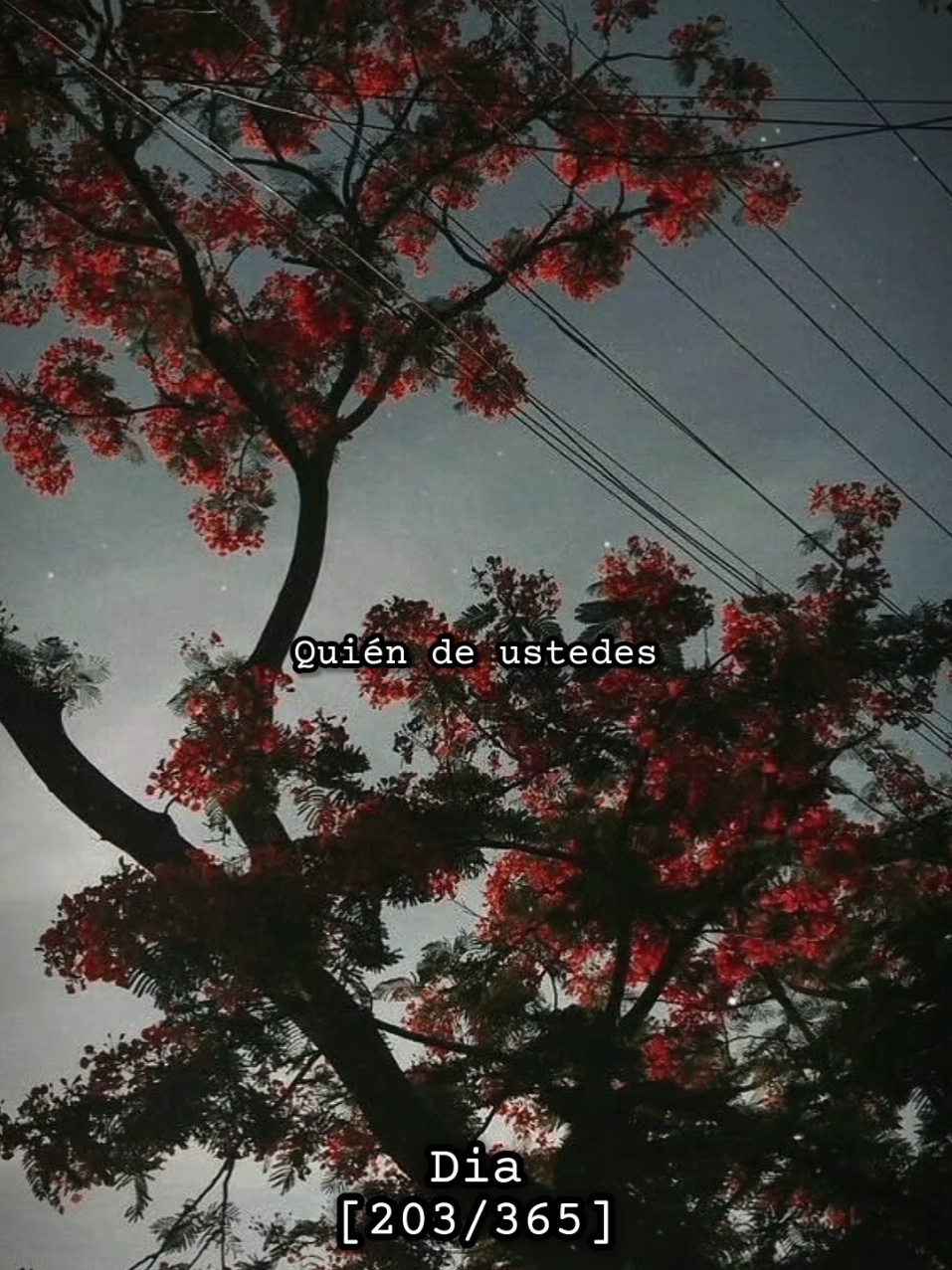 @𝚘𝚛𝚊𝟹𝟼𝟻𝚍𝚒𝚊𝚜