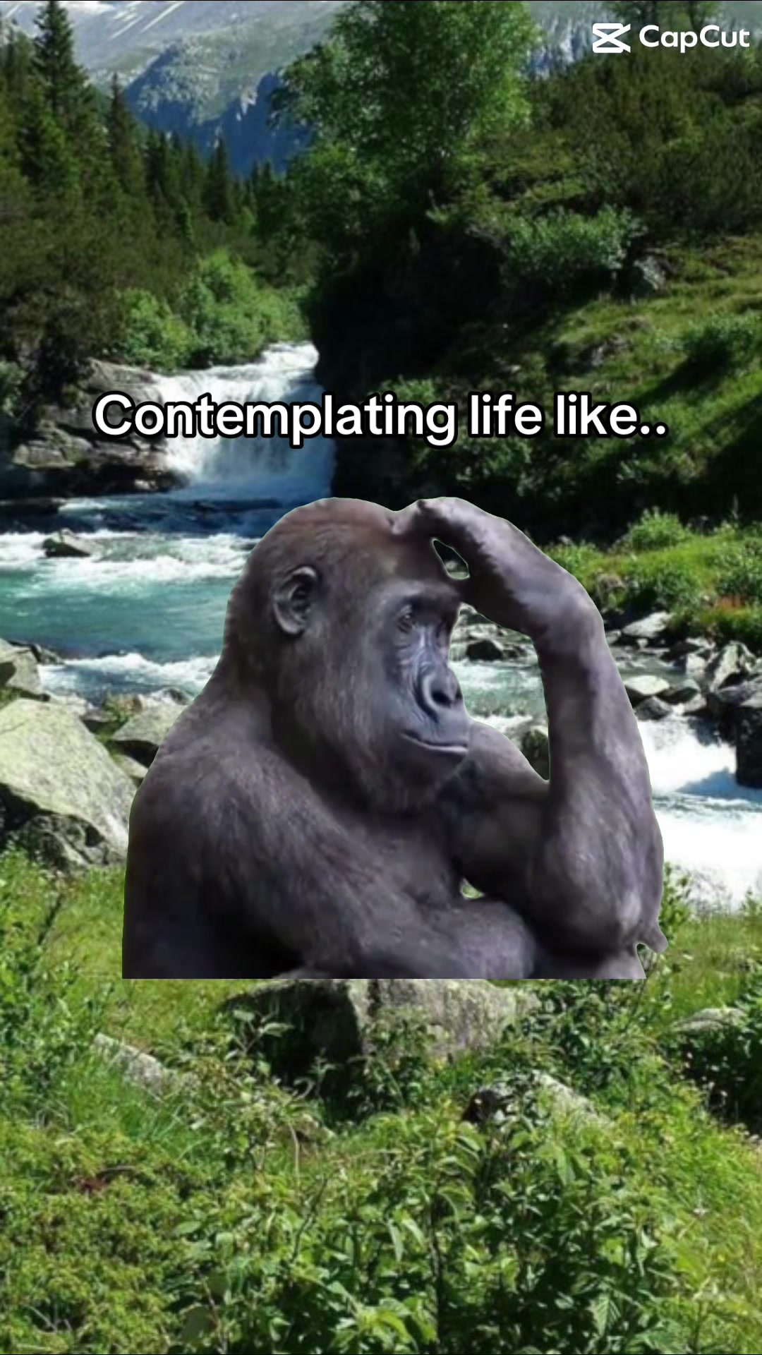 @Danny.