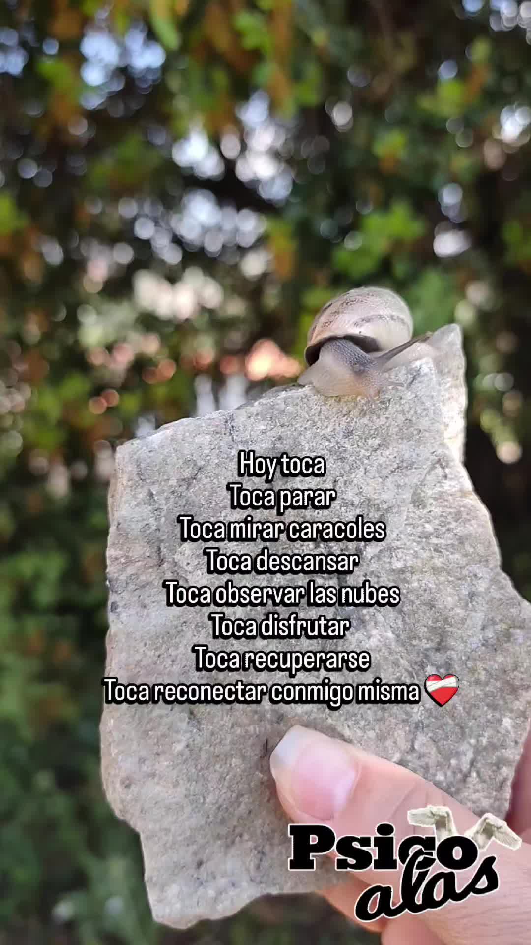 @Rosa Mu&ntilde;oz | Psicoalas 🪽
