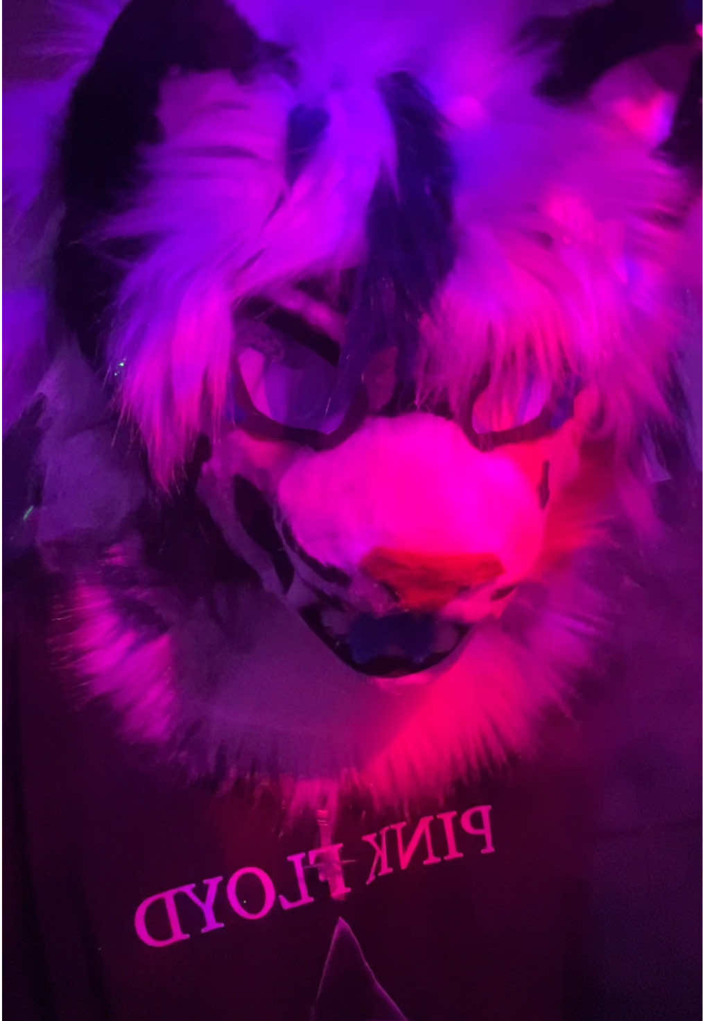 @◞𝗠𝗔𝗥𝗢.𝗪⌖
