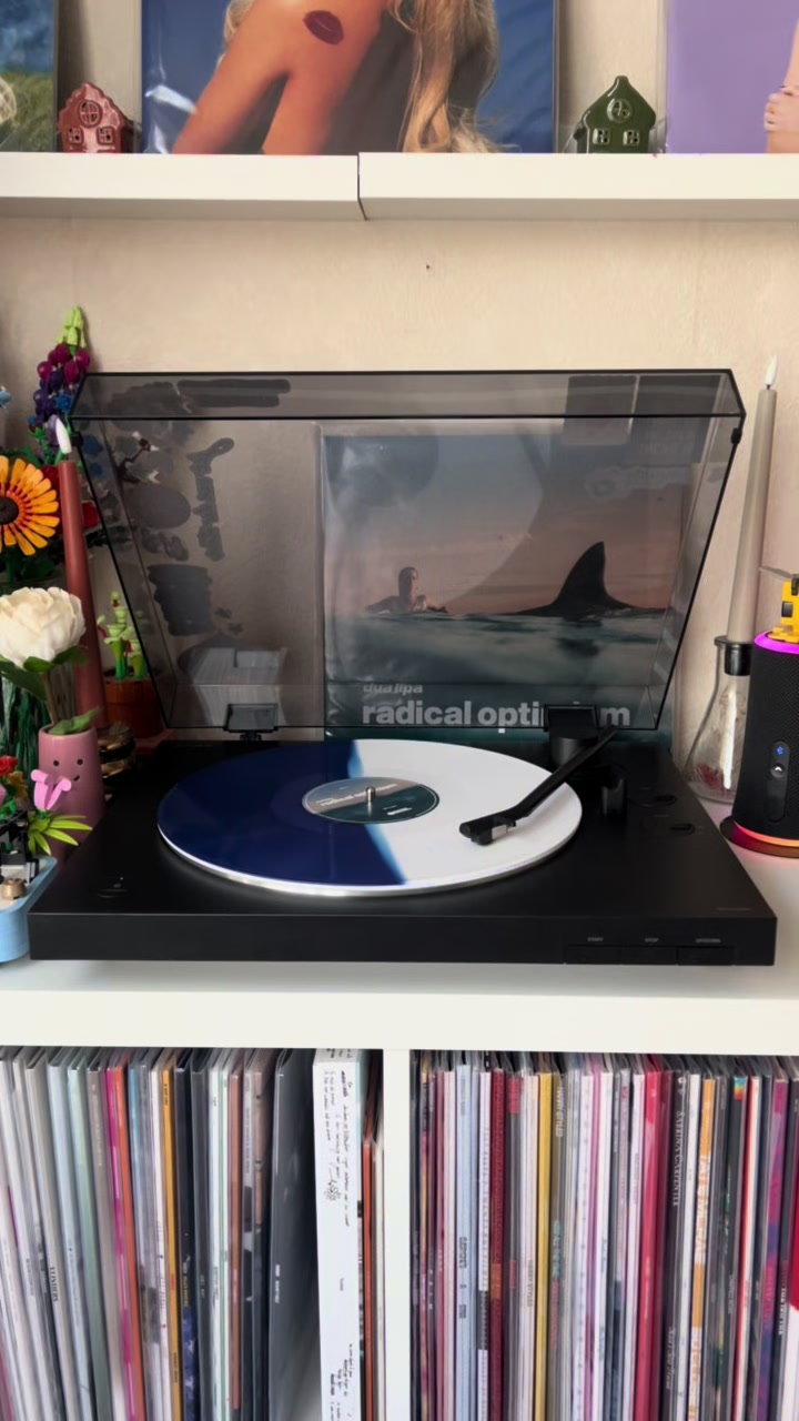 @Rolien || Vinyl & Records