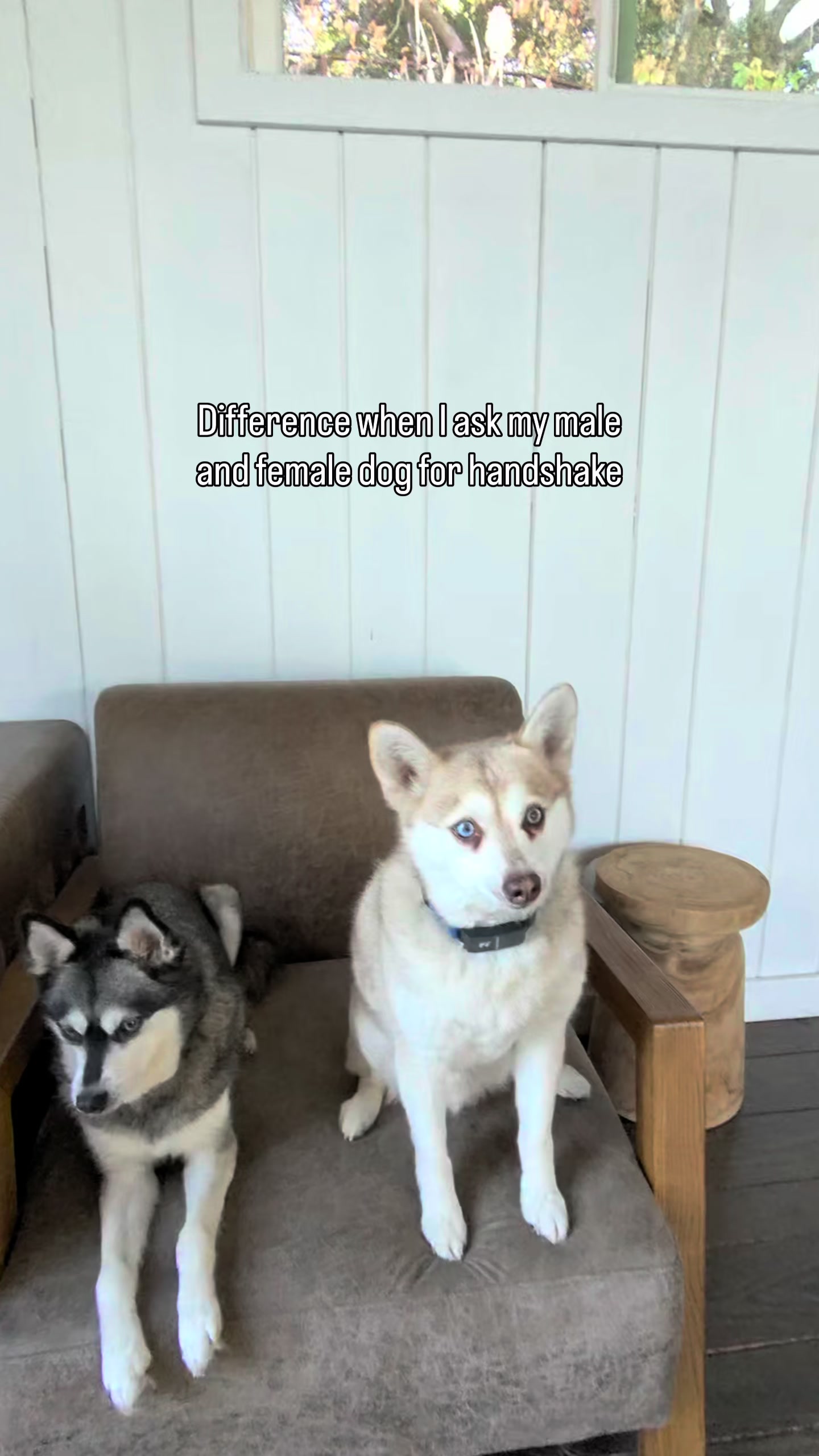 @lifewithkleekai