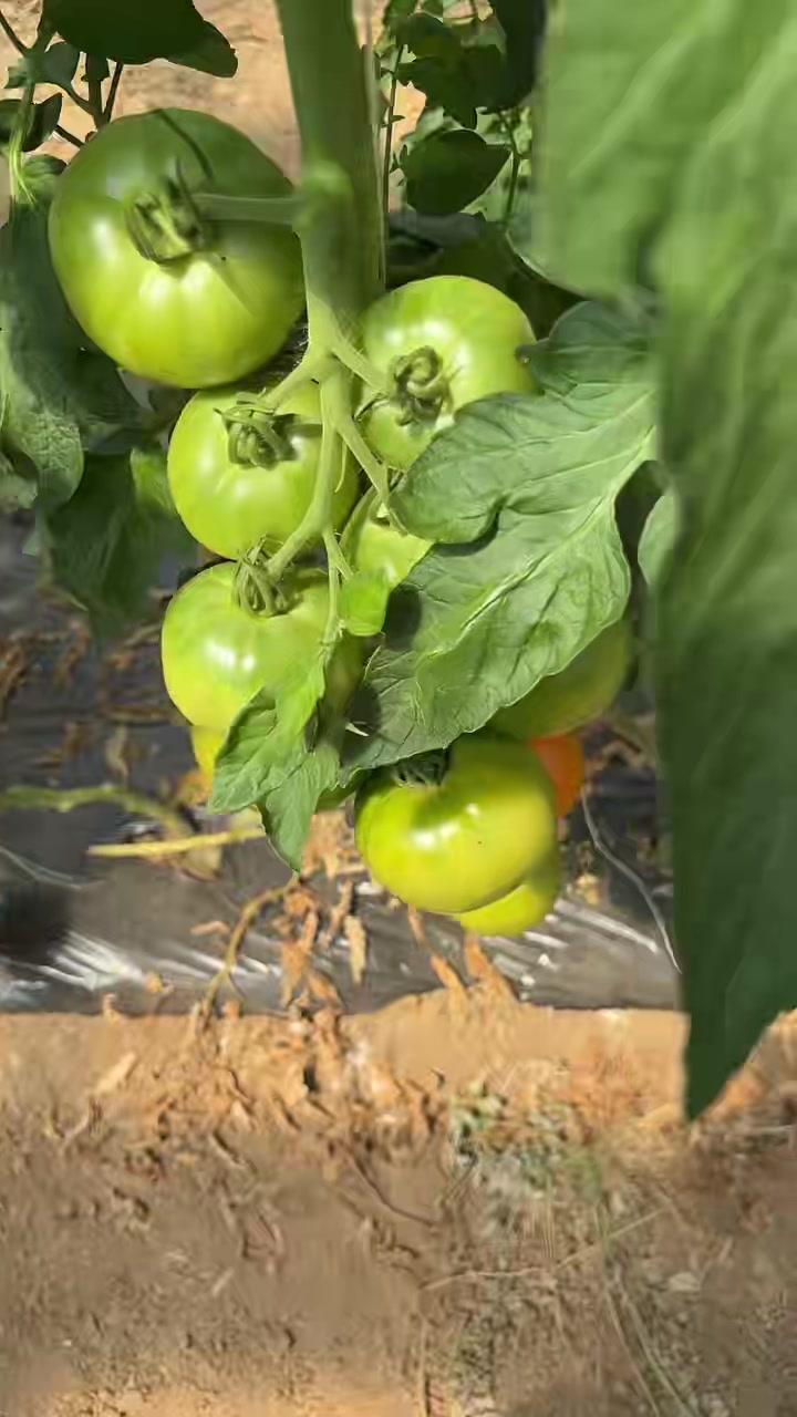 @Au jardin de l'Artois