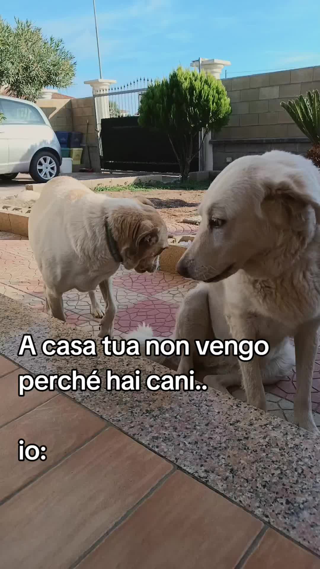 @Patrizia