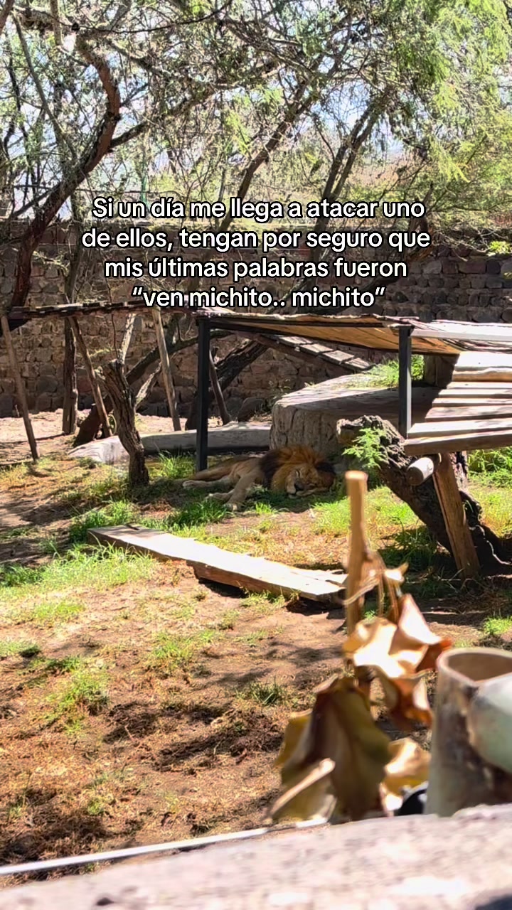 @🦋 LALI 🦋