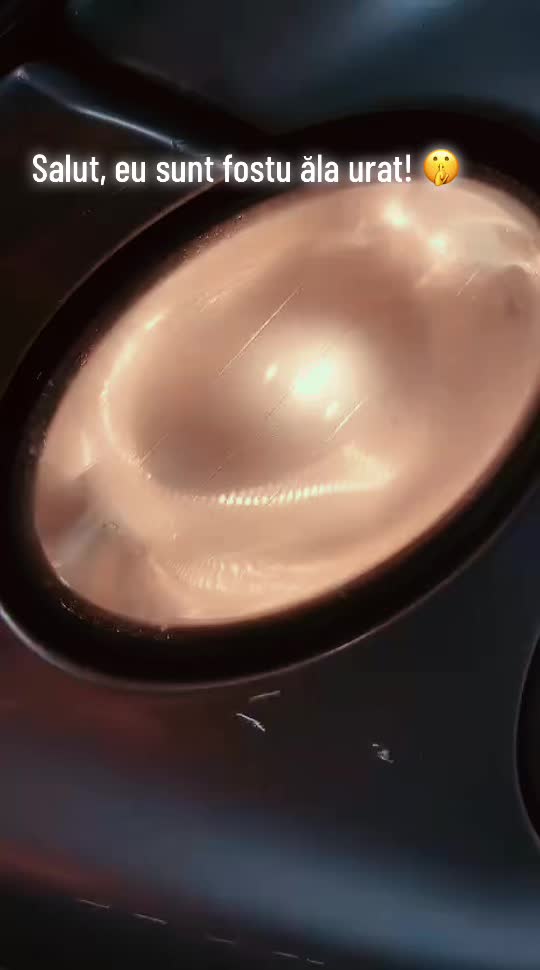 @⚜️𝕭𝖚𝖑𝖌𝖆𝖗𝖚⚜️