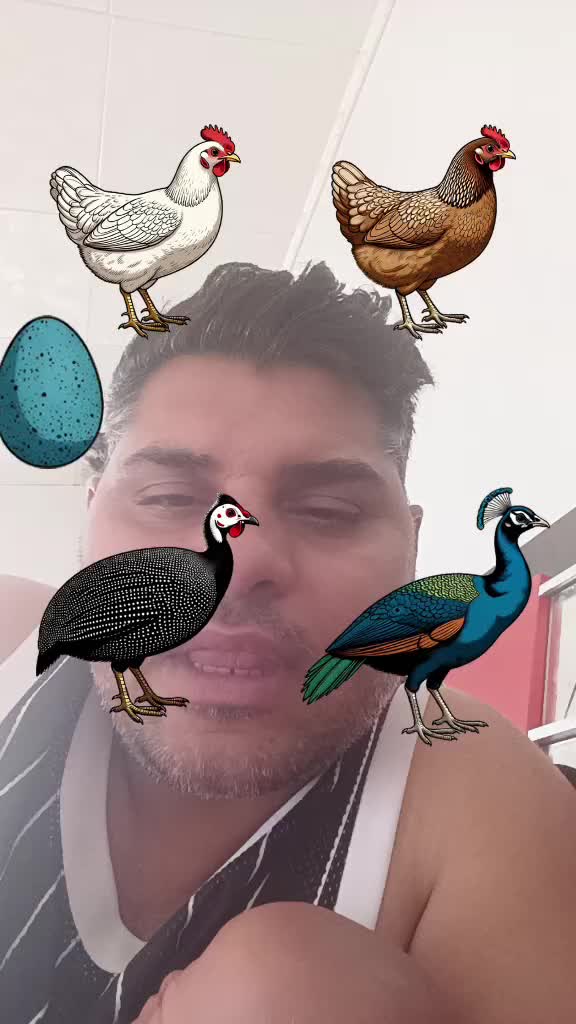 @Vulturii de noapte33
