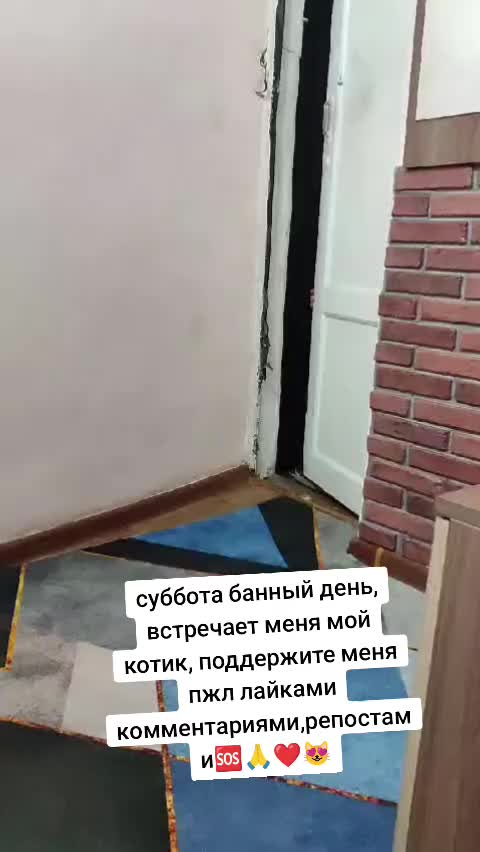 @Жанслу 🆘♿♿♿