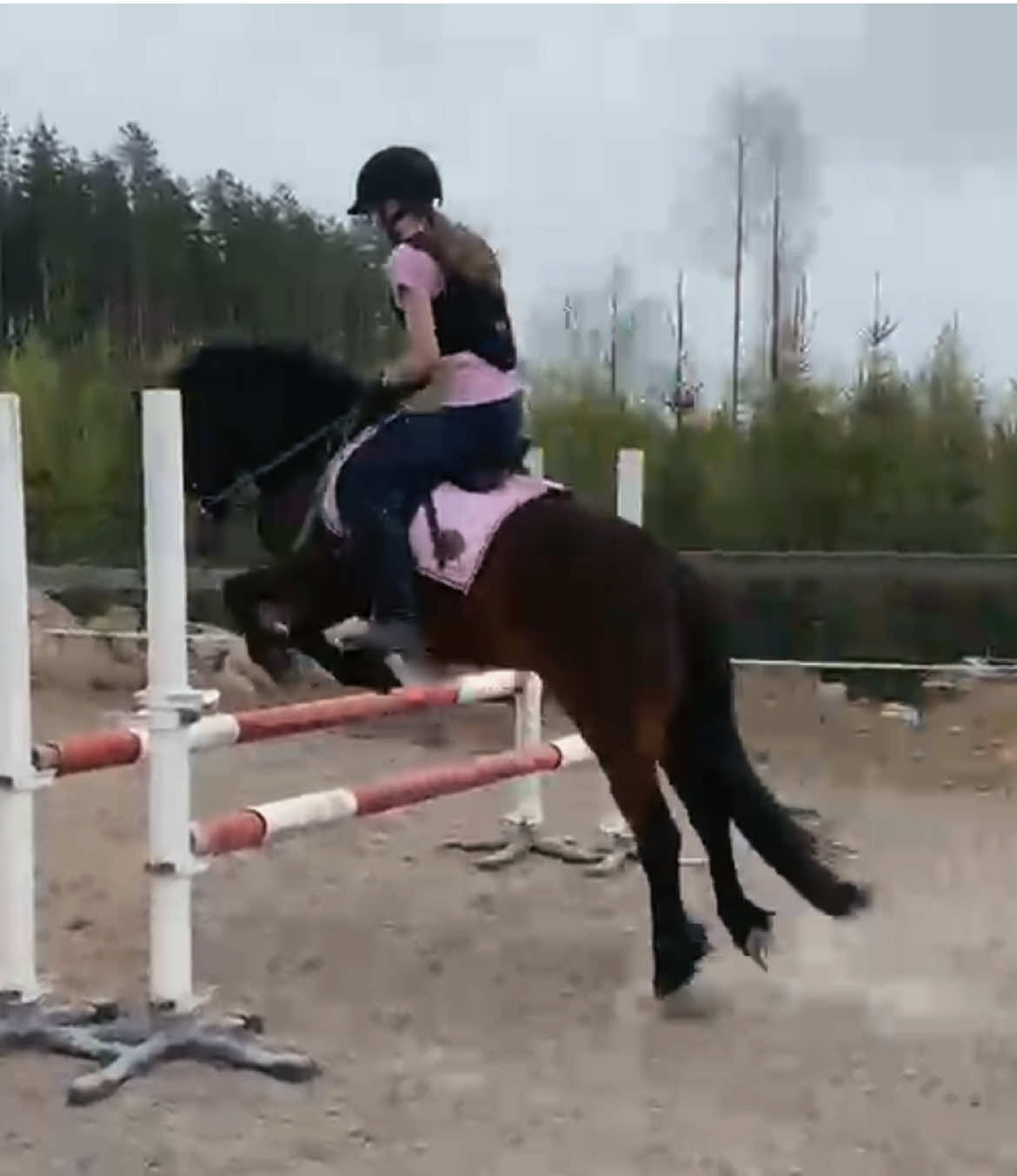 @Ponirannan talli🇫🇮🐎