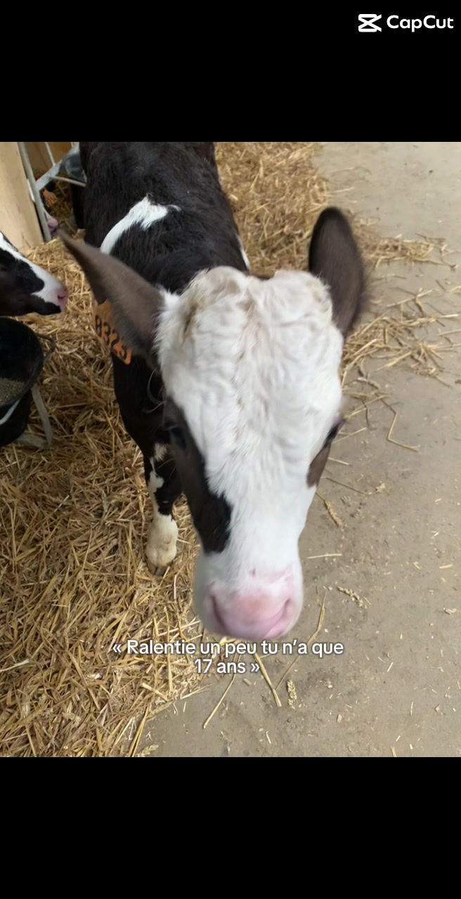 @nadiya🐮