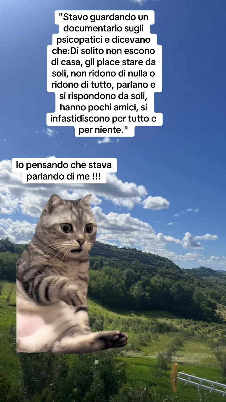 @LOLSempre😜😜