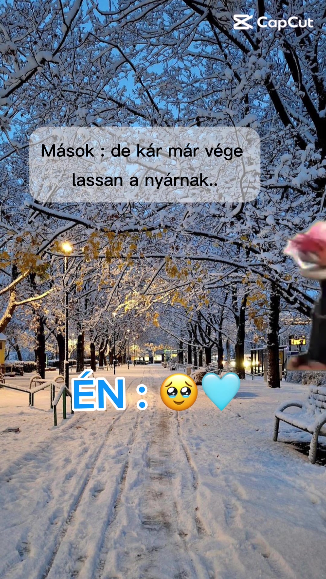 @🪻Denisza Berki