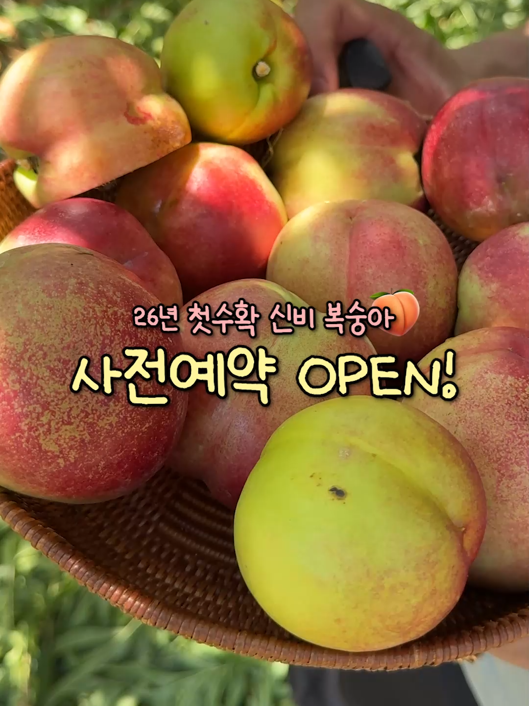 @해운대송사장
