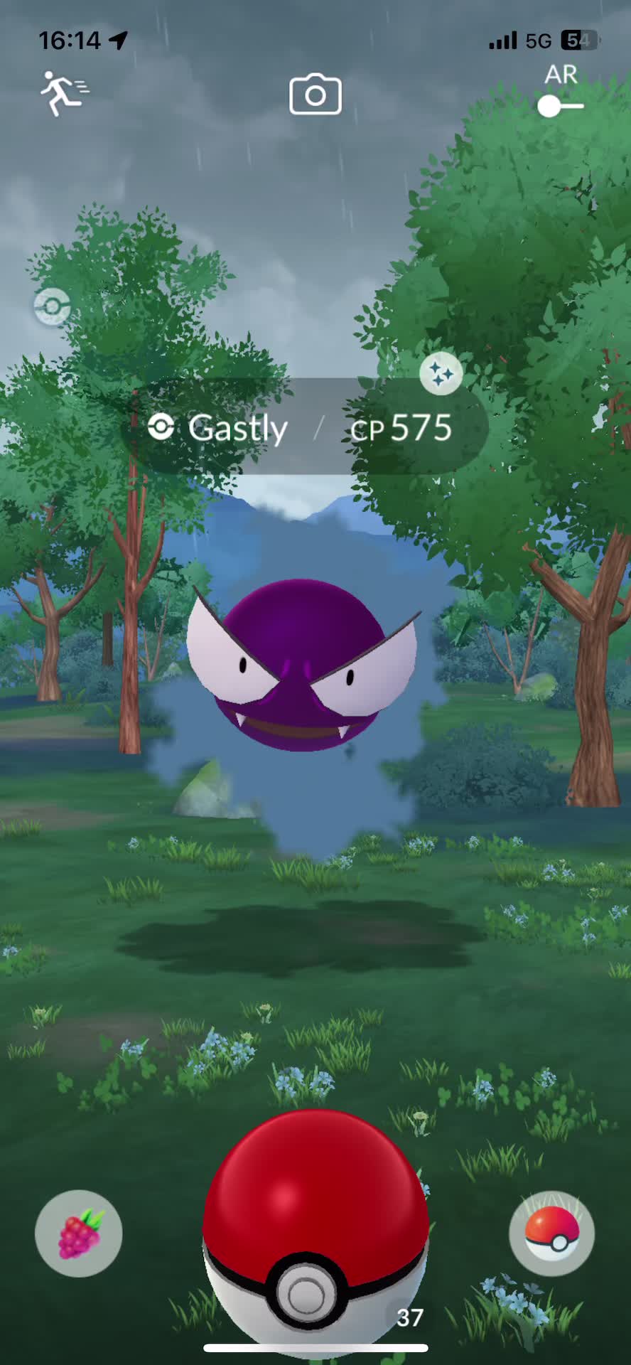 @pokebloxy