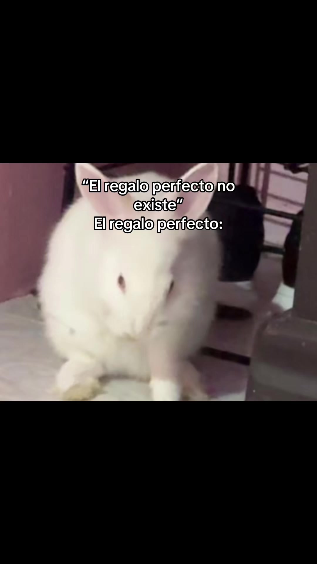 @IRMITAAAAAA🐼