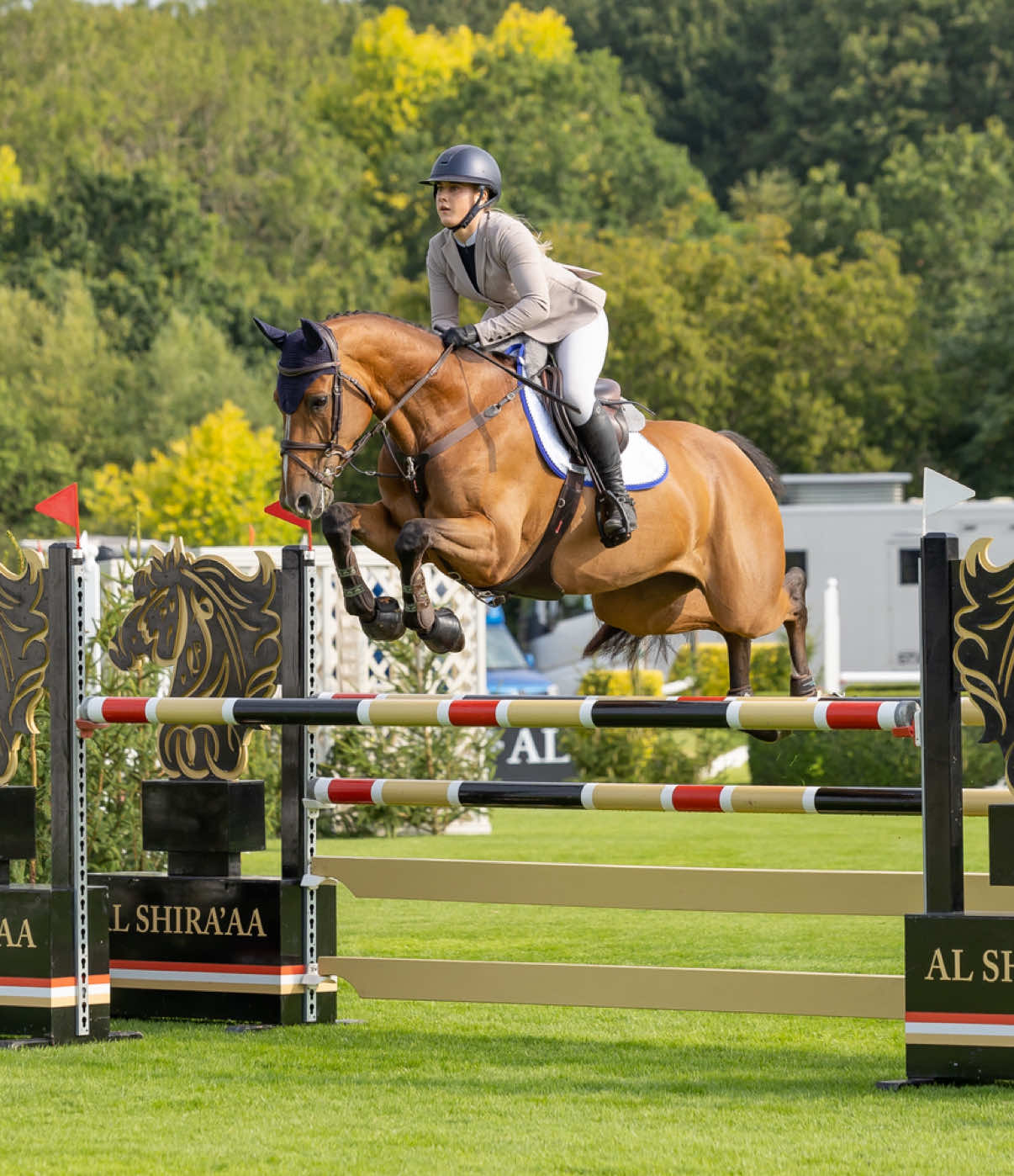 @British Showjumping