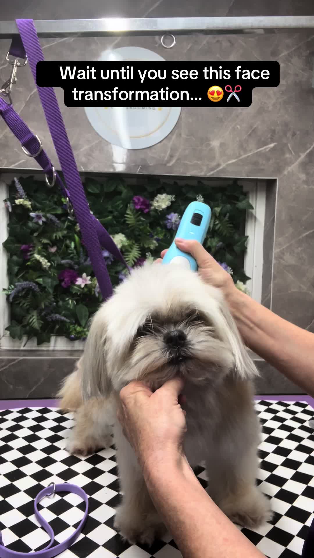 @Poochiepoosdoggrooming