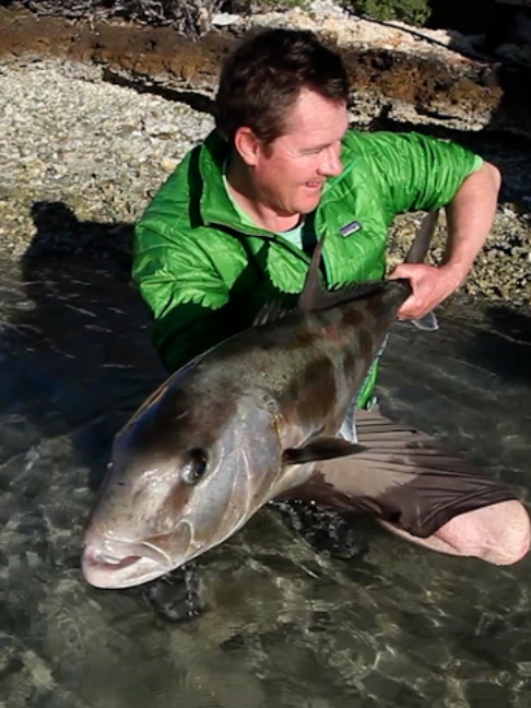 @Fishing TV