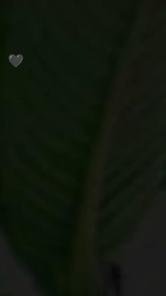 @کشر خان